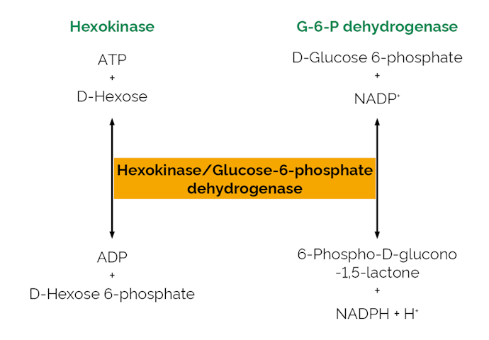 Megazyme_Scheme-E-HKGDH.png