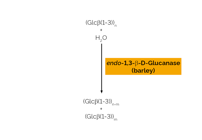 Megazyme_Scheme-E-LAMHV.png