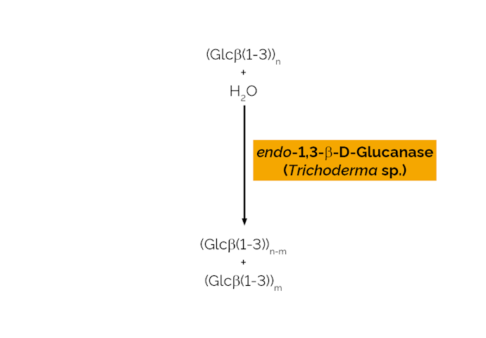 Megazyme_Scheme-E-LAMSE.png