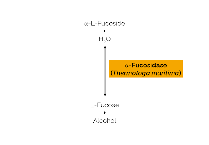 Megazyme_Scheme-E-FUCTM.png