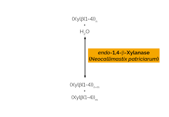 Megazyme_Scheme-E-XYLNP.png