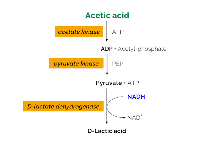 Scheme-K-ACETLQ-ProdIm.png