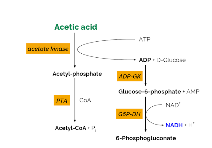 Megazyme_Scheme-K-ACETGK-ProdIm.png