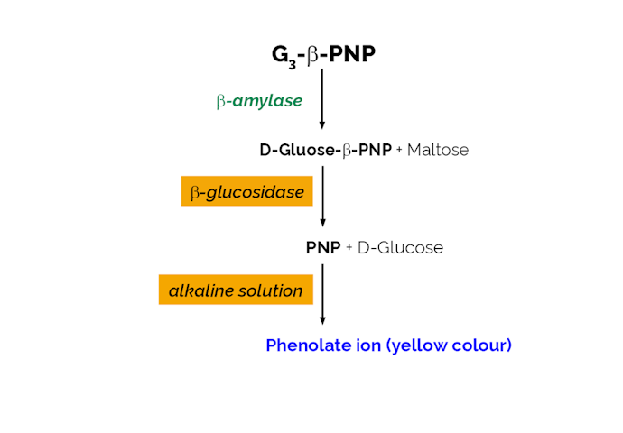 Megazyme_Scheme-K-BETA3-ProdIm.png