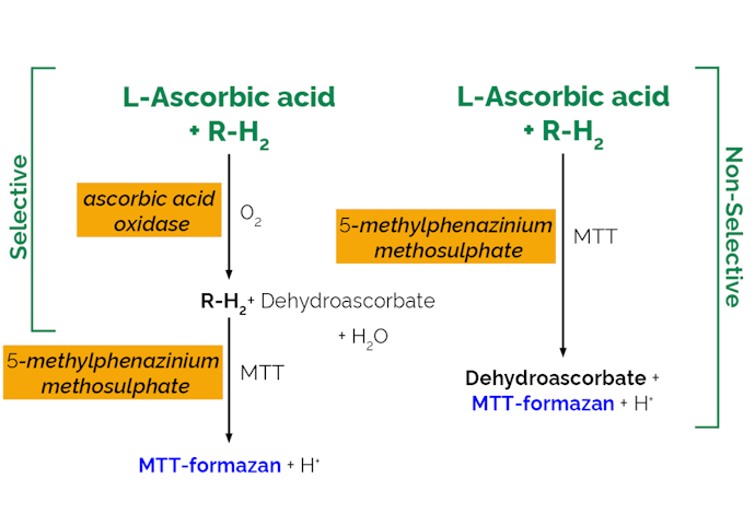 Megazyme_Scheme-K-ASCO-ProdIm.png