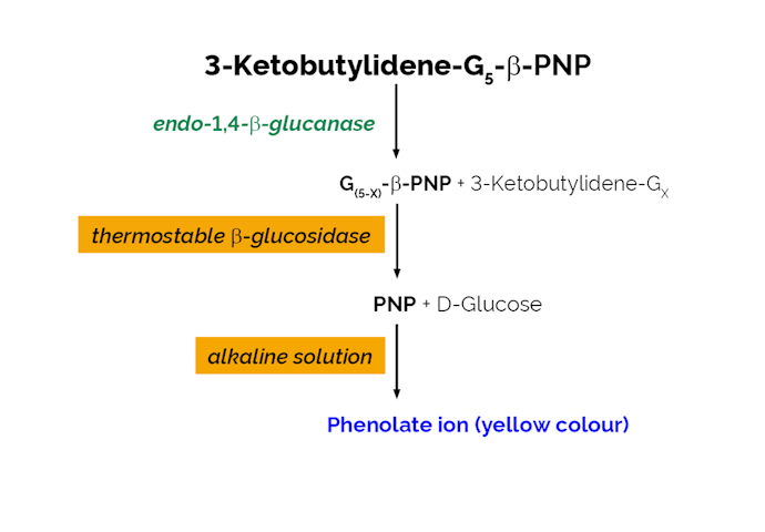 Megazyme_Scheme-K-CellG5-ProdIm.png