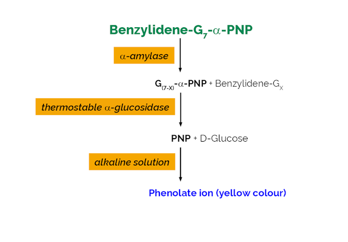 Megazyme_Scheme-K-CERA-ProdIm.png