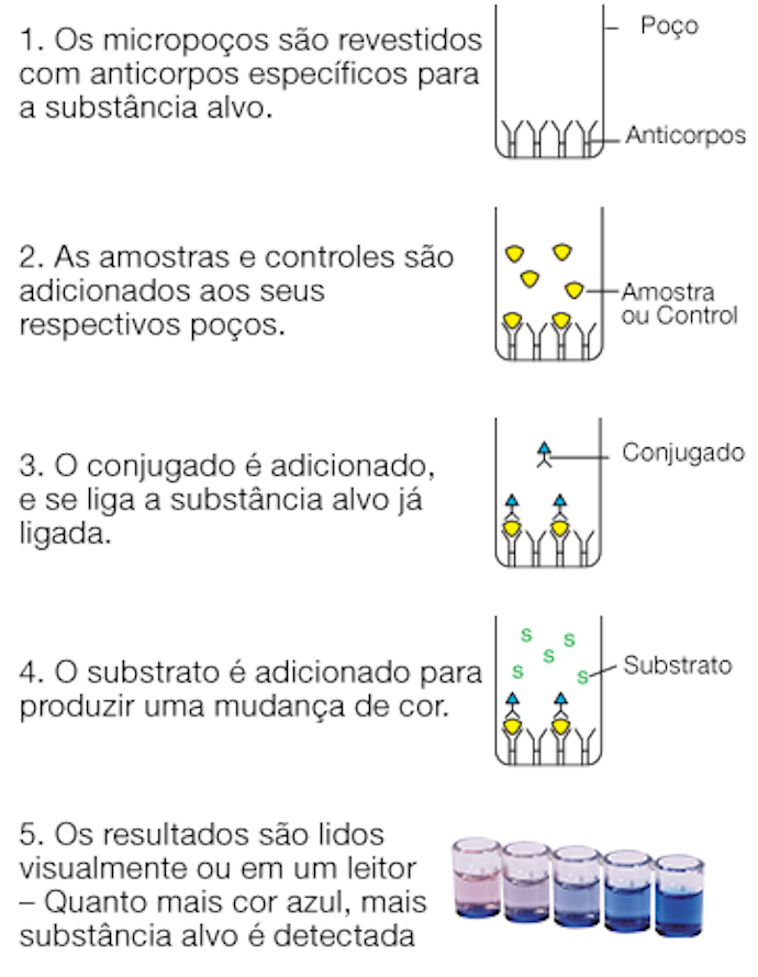 8520_diagram_pt.png