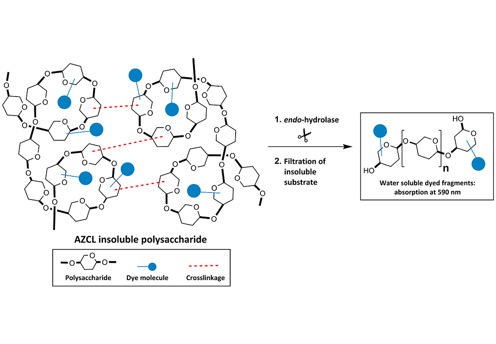 Megazyme_AZCL-insoluble_STRUCTURE-Original.png