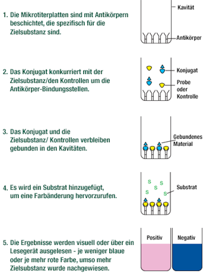 Alert_cd-elisa-diagram_de.png