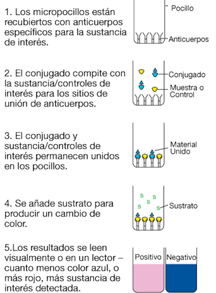 Alert_cd-elisa-diagram_es.png