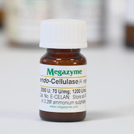 Cellulase ( endo -1,4-beta-D-glucanase) ( Aspergillus niger )