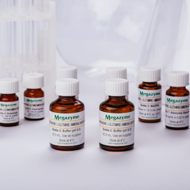 L-Asparagine/L-Glutamine/Ammonia Assay Kit (Rapid)