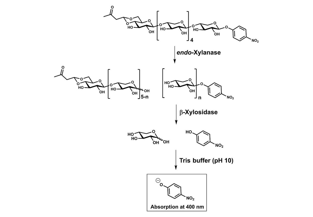 Xylanase Assay Kit (XylX6 Method)