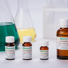 L-Fucose Assay Kit