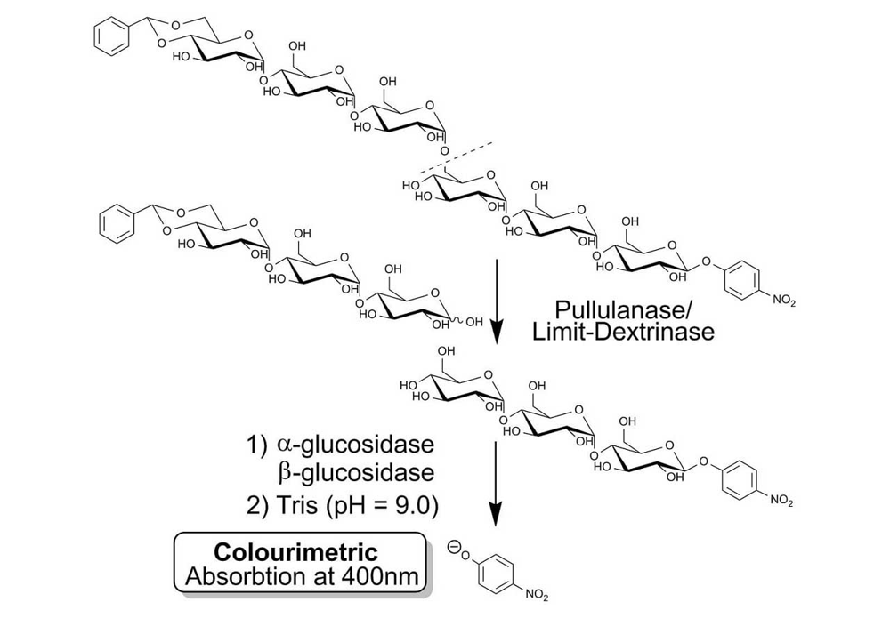Pullulanase/Limit-Dextrinase Assay Kit (PullG6 Method)