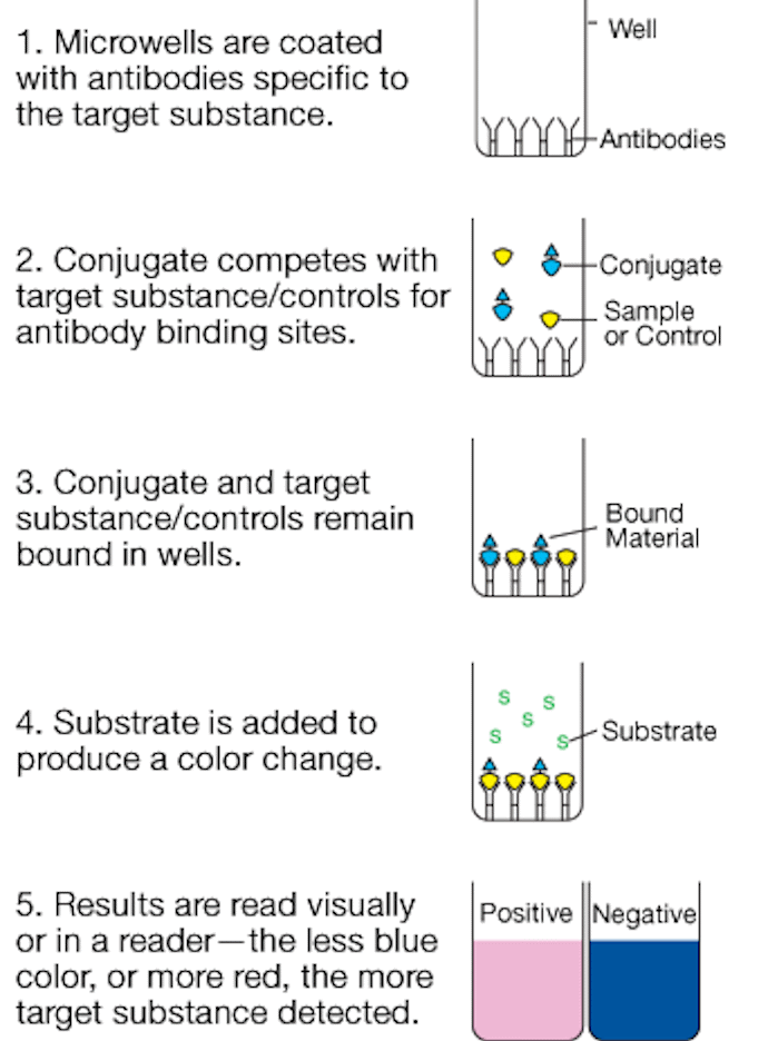 Alert_cd-elisa-diagram.png