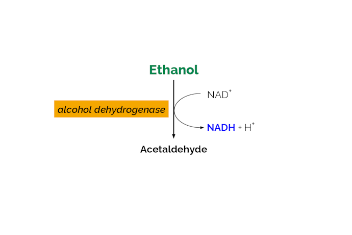 Scheme-K-ETOHLQ-ProdIm.png