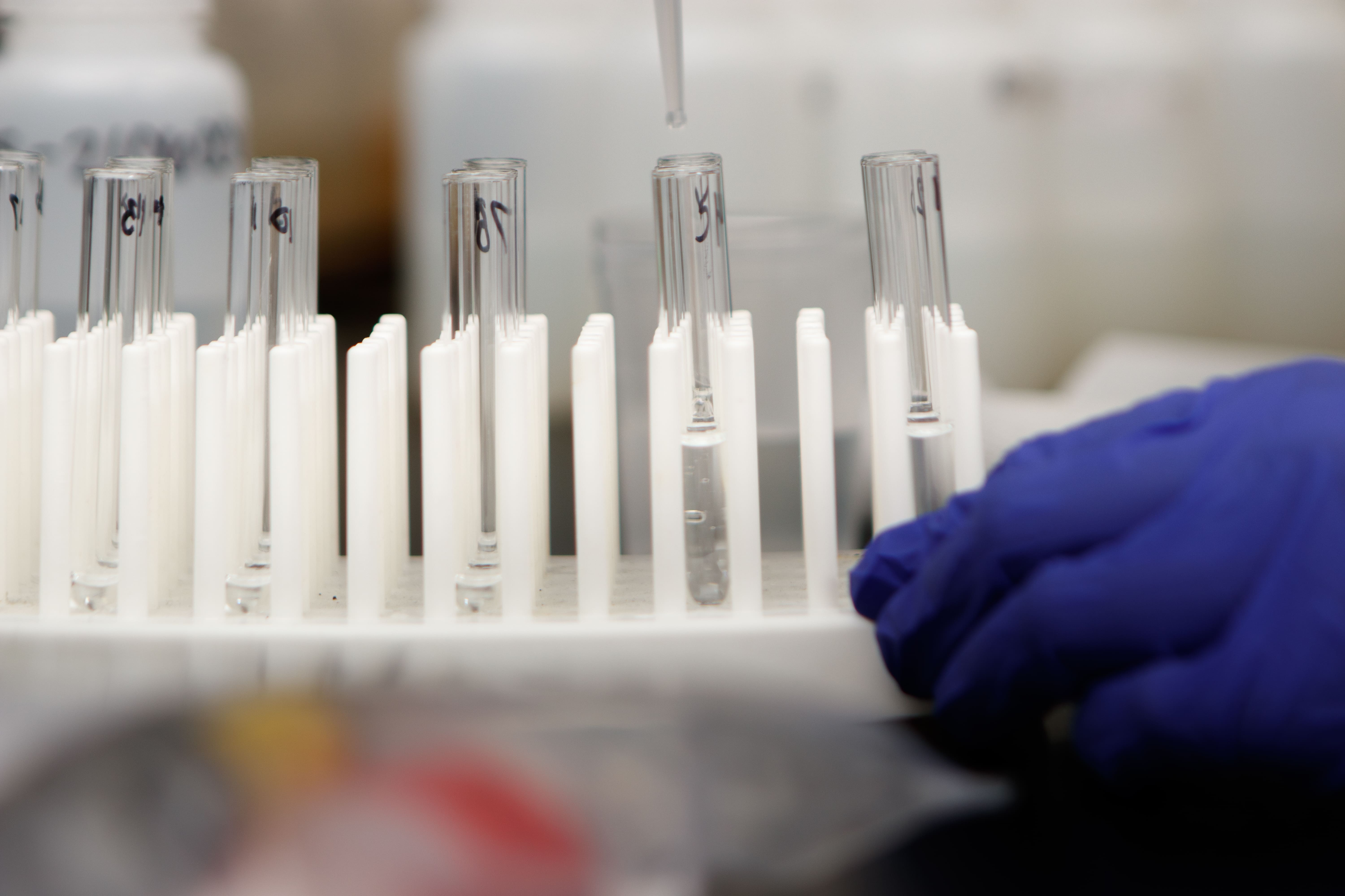Test tubes and sample preparation in a laboratory setting used for food allergen testing solutions and analytical verification.