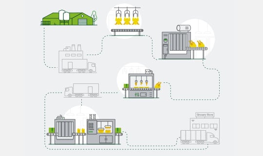A diagram showing the steps involved in poultry food production, including storage, processing, packaging, and transportation.
