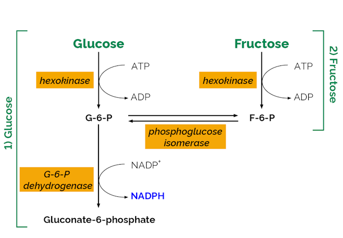 Megazyme_Scheme-K-FRUGL-ProdIm.png