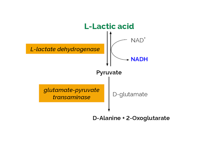 Megazyme_Scheme-K-LATE-ProdIm.png