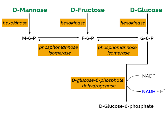 Megazyme_Scheme-K-MANGL-ProdIm.png