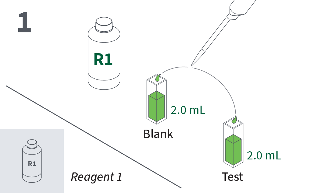 Pipette 2 mL of Reagent 1 into each of two cuvettes