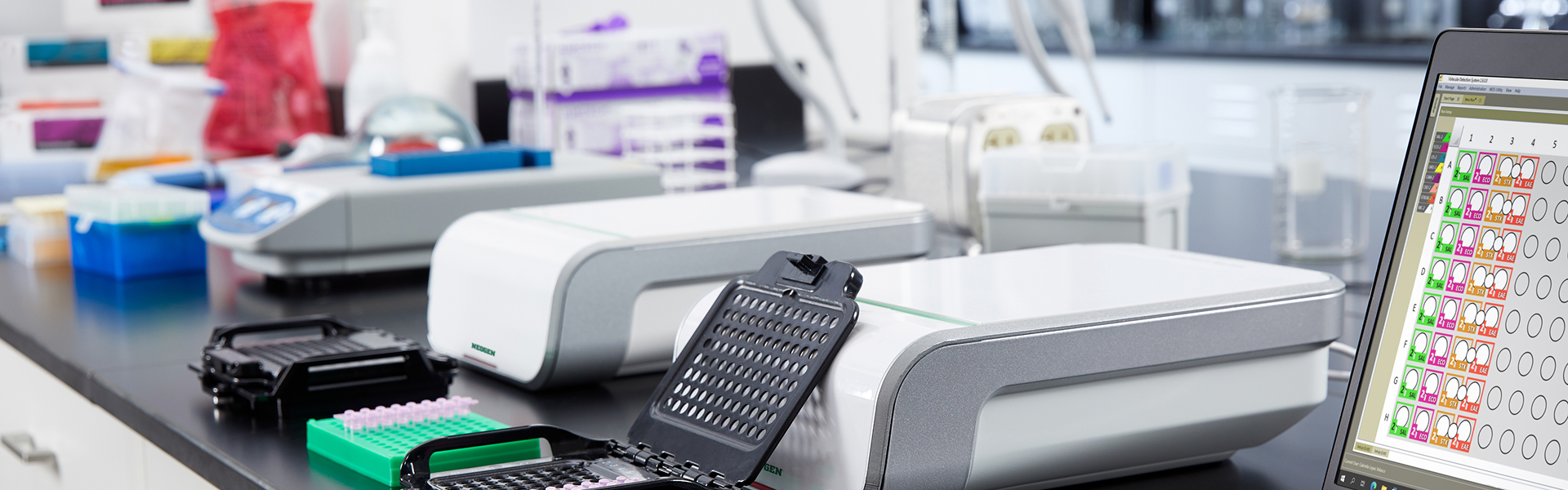 Lab with the Neogen Molecular Detection System running LAMP tests, as shown in QuanTEM case study.