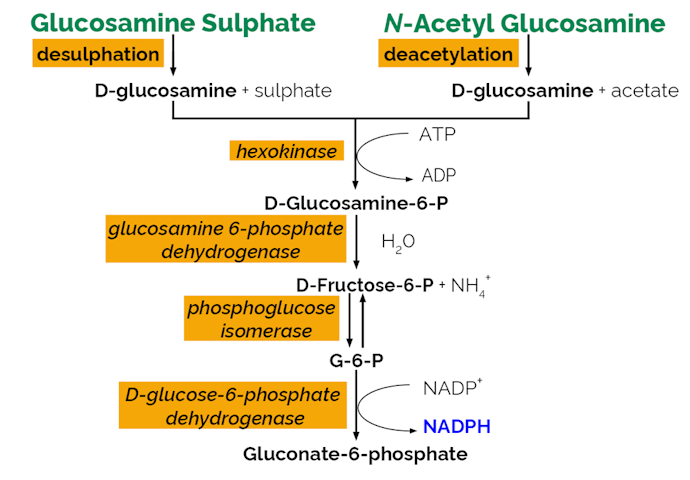 Megazyme_Scheme-K-GAMINE-ProdIm.png