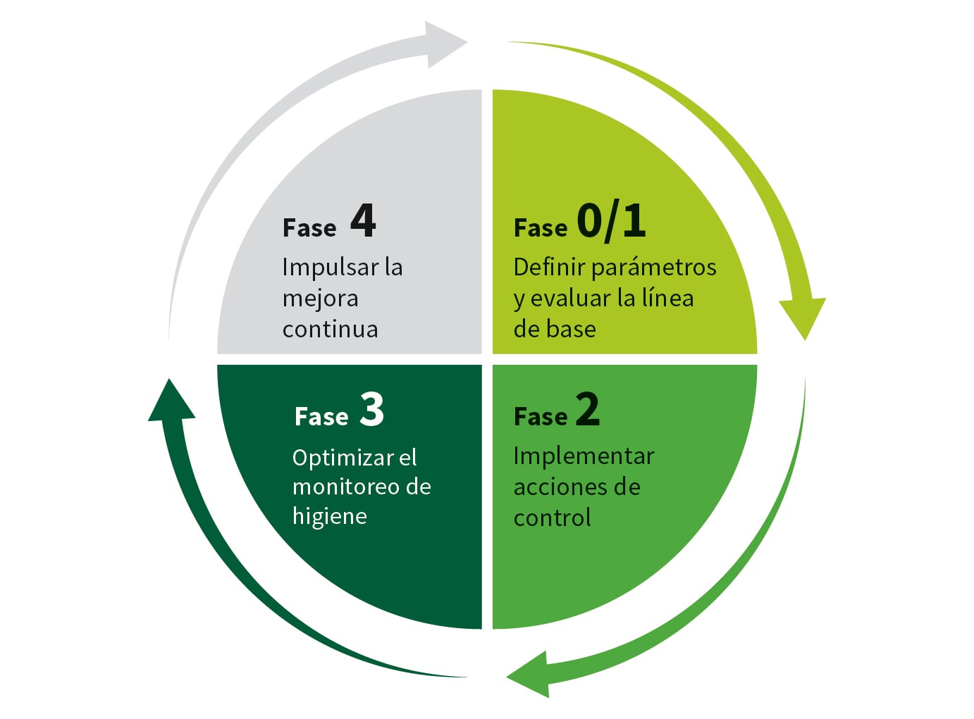 Infografía circular dividida en cuatro cuadrantes, cada uno representando una fase de un proceso. En el cuadrante superior derecho, en color verde claro, se lee “Fase 0/1: Definir parámetros y evaluar la línea de base”. En el cuadrante inferior derecho, en verde medio, se muestra “Fase 2: Implementar acciones de control”. El cuadrante inferior izquierdo, en verde oscuro, indica “Fase 3: Optimizar el monitoreo de higiene”. El cuadrante superior izquierdo, en gris, muestra “Fase 4: Impulsar la mejora continua”. Una flecha circular externa rodea los cuatro cuadrantes, indicando continuidad del ciclo.