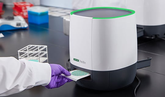 Gloved hand placing a sample onto Petrifilm plates for microbial testing in a laboratory.