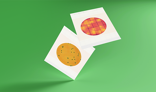 Two Neogen Petrifilm plates floating on a green background, showing distinct colony growth patterns.