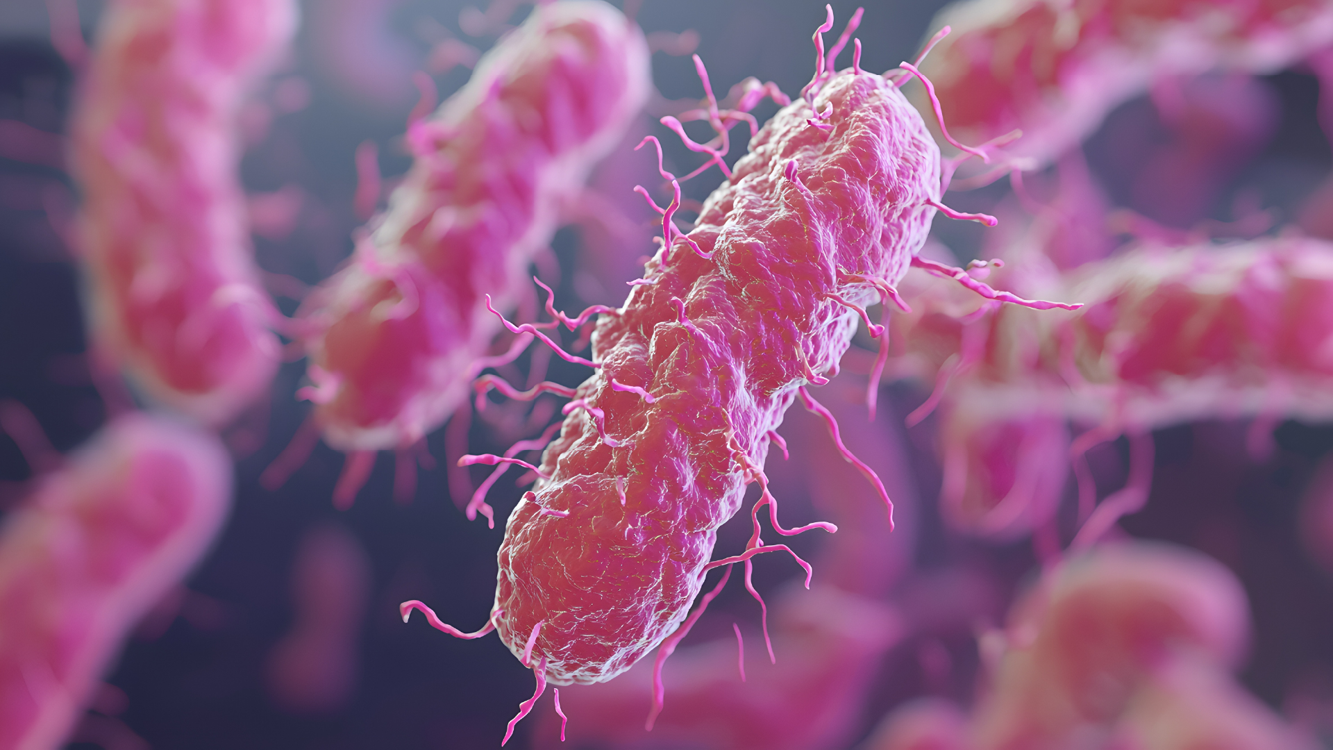Illustration of Listeria bacteria, shown as pink rod‑shaped organisms with flagella, representing microbial contamination risks in food processing.