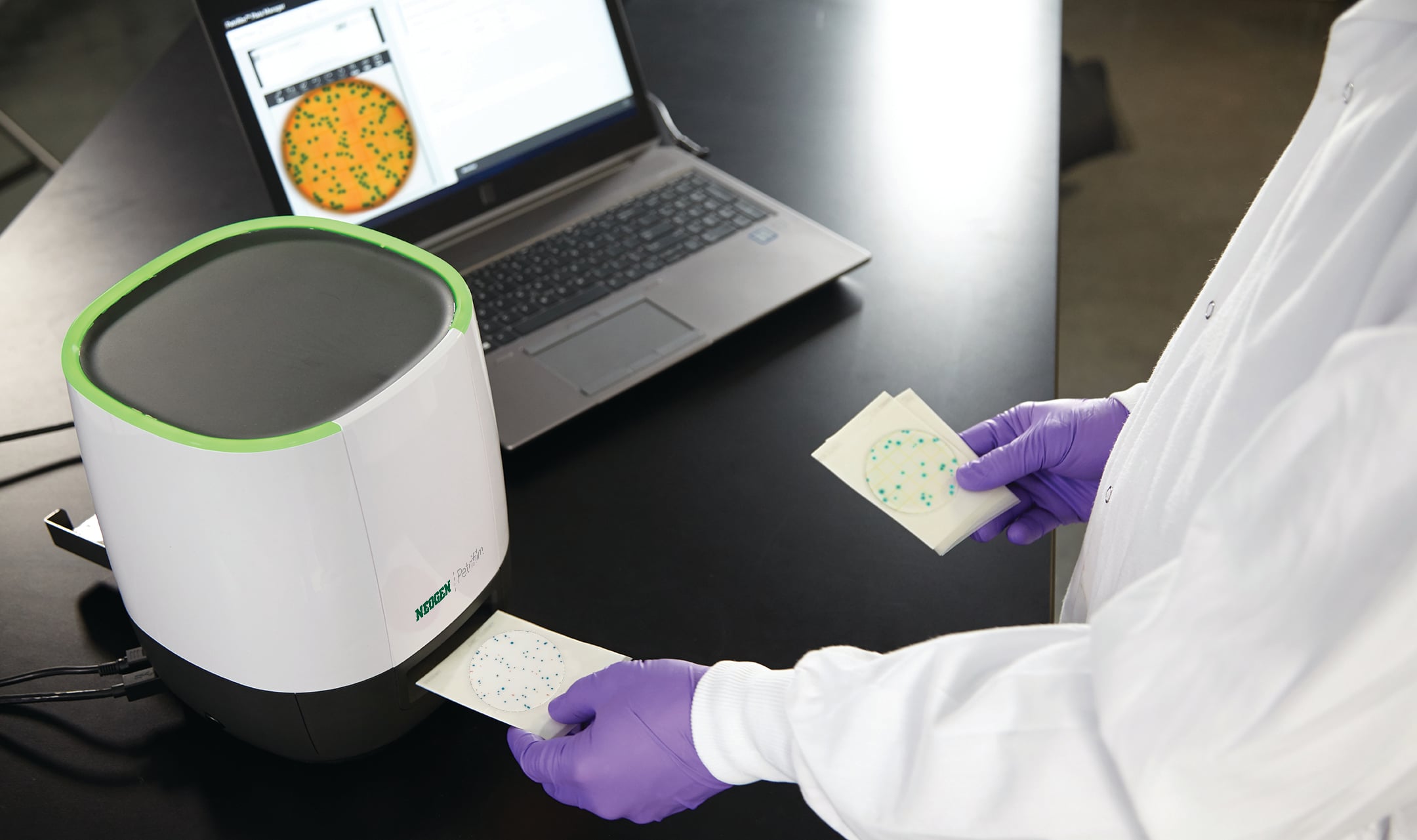 Neogen Petrifilm Plate Reader Advanced for automated colony
counting.