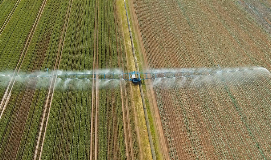 Picture of watering crops in a field