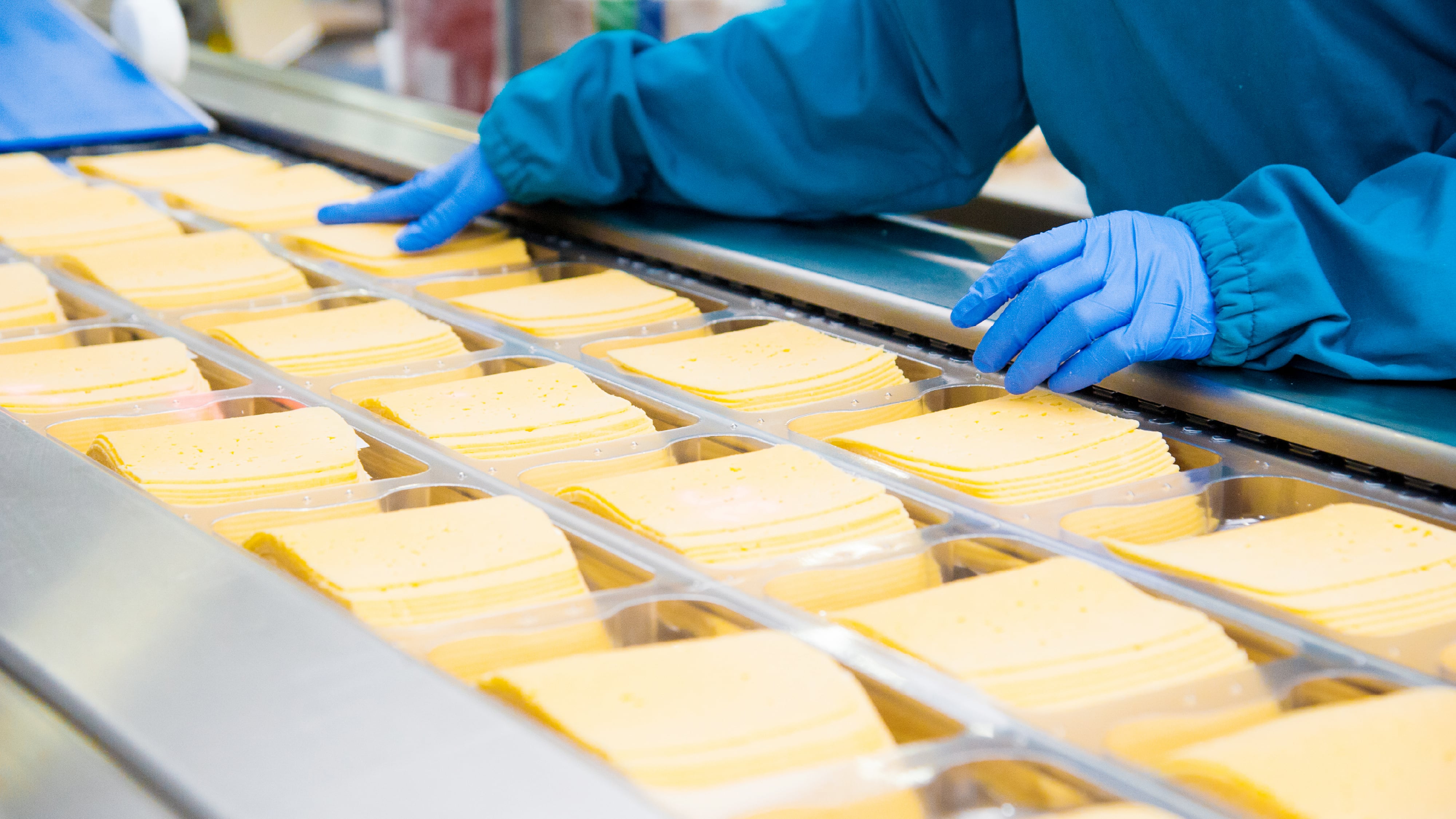 Food safety technician overseeing sliced cheese production line