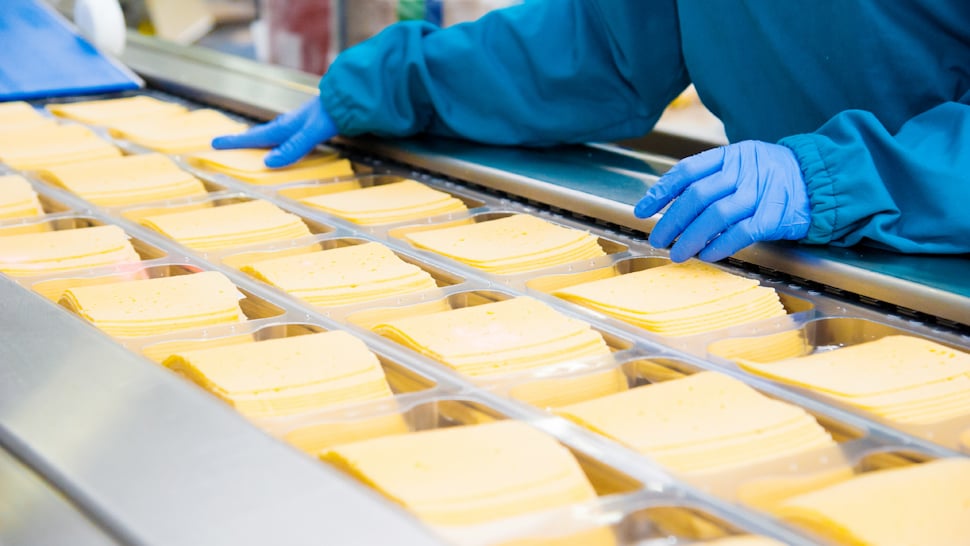 Food safety technician overseeing sliced cheese production line