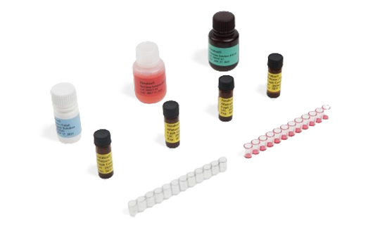 ELISA allergen testing kit components including reagents, sample vials, microplate strips, and assay materials used for laboratory analysis.