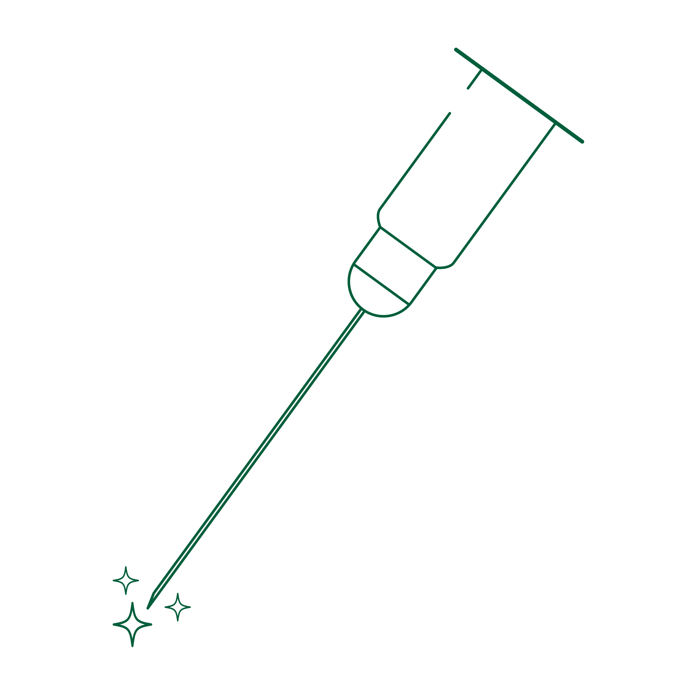 Illustration of a standalone needle used as an icon to indicate precise and controlled veterinary insertion.