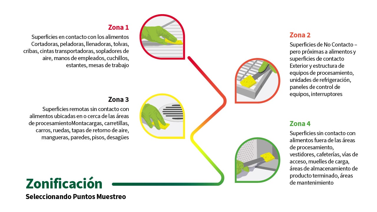 Infografía educativa sobre el enfoque por zonas Z1 a Z4 en la industria alimentaria, mostrando la clasificación de superficies según su nivel de contacto con los alimentos. Zona 1 incluye superficies de contacto directo como cintas transportadoras y cuchillos; Zona 2, equipos cercanos sin contacto directo; Zona 3, áreas periféricas como pisos y drenajes; y Zona 4, zonas externas como muelles o vestidores. Optimizado para monitoreo ambiental, higiene industrial y control microbiológico.