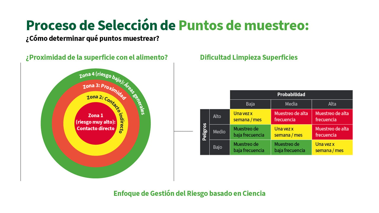 Infografía sobre el proceso de selección de puntos de muestreo en el monitoreo ambiental según la zonificación Z1 a Z4. Incluye un diagrama de riesgo microbiológico basado en la proximidad al alimento y la dificultad de limpieza, y una tabla de frecuencia de muestreo basada en la probabilidad y nivel de peligro. Enfoque científico para programas de inocuidad alimentaria alineado con FSMA, FSSC 22000 y Codex Alimentarius.