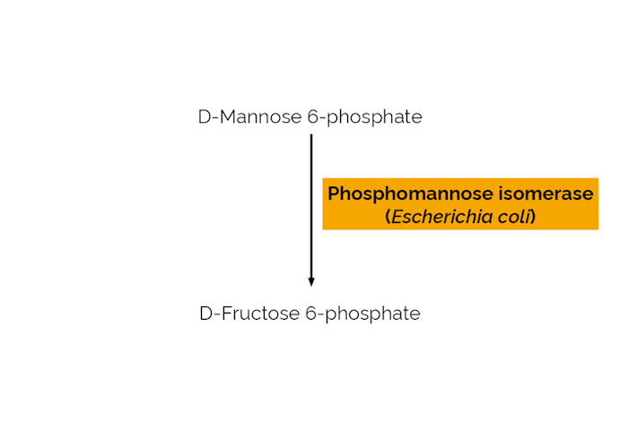 Megazyme_Scheme-E-PMIEC.png