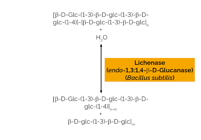 Megazyme_Scheme-E-LICHN.png