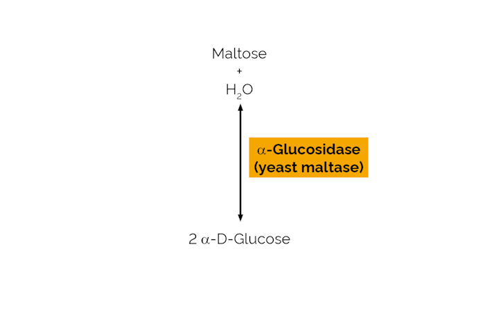 Megazyme_Scheme-E-MALTS.png