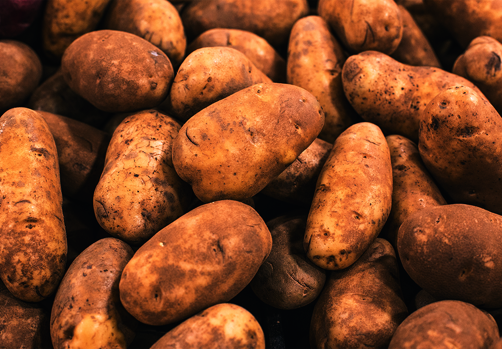 Official_579_GGP-Potato-Array_Potato_Kit-Photo.png