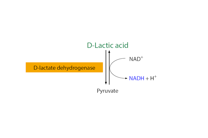 Scheme-K-DATELQ-ProdIm.png