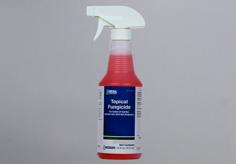 79209 726087792095 Ideal Animal Health Topical Fungicide_1.png