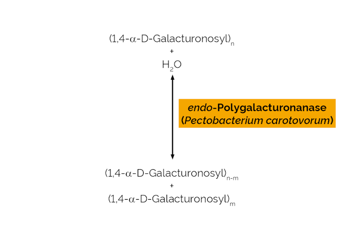 Megazyme_Scheme-E-PGALPC.png