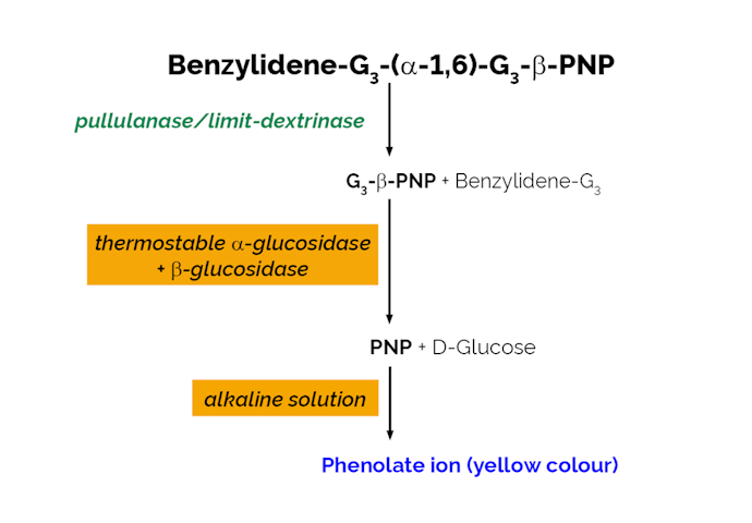 Megazyme_Scheme-K-PullG6-ProdIm.png